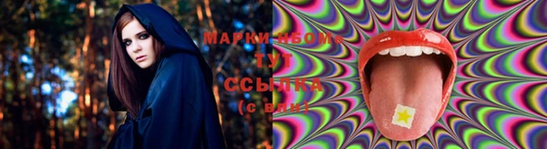 стаф Бородино