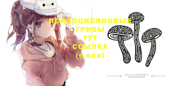 стаф Бородино