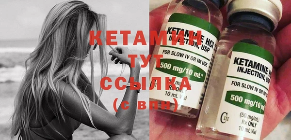 стаф Бородино