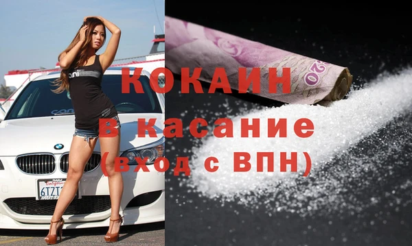 стаф Бородино
