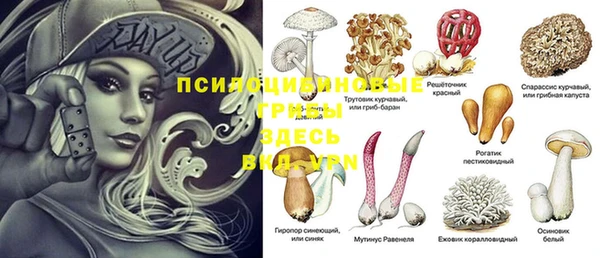 стаф Бородино