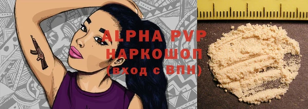стаф Бородино