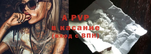 стаф Бородино