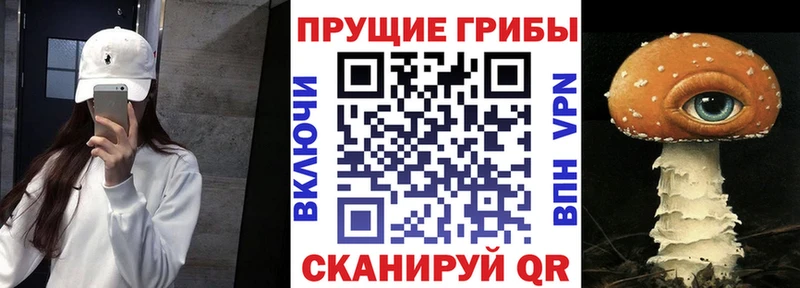 Галлюциногенные грибы ЛСД  Купить  Гусев 