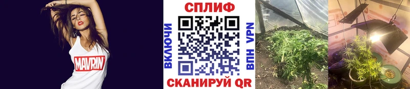 Каннабис ГИДРОПОН Купить закладки Гусев